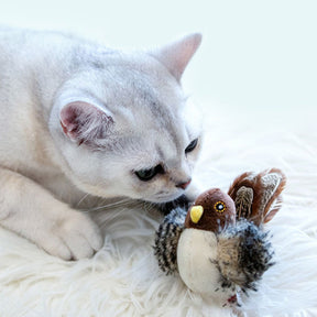 HuntFlap – Interactive Bird Cat Toy