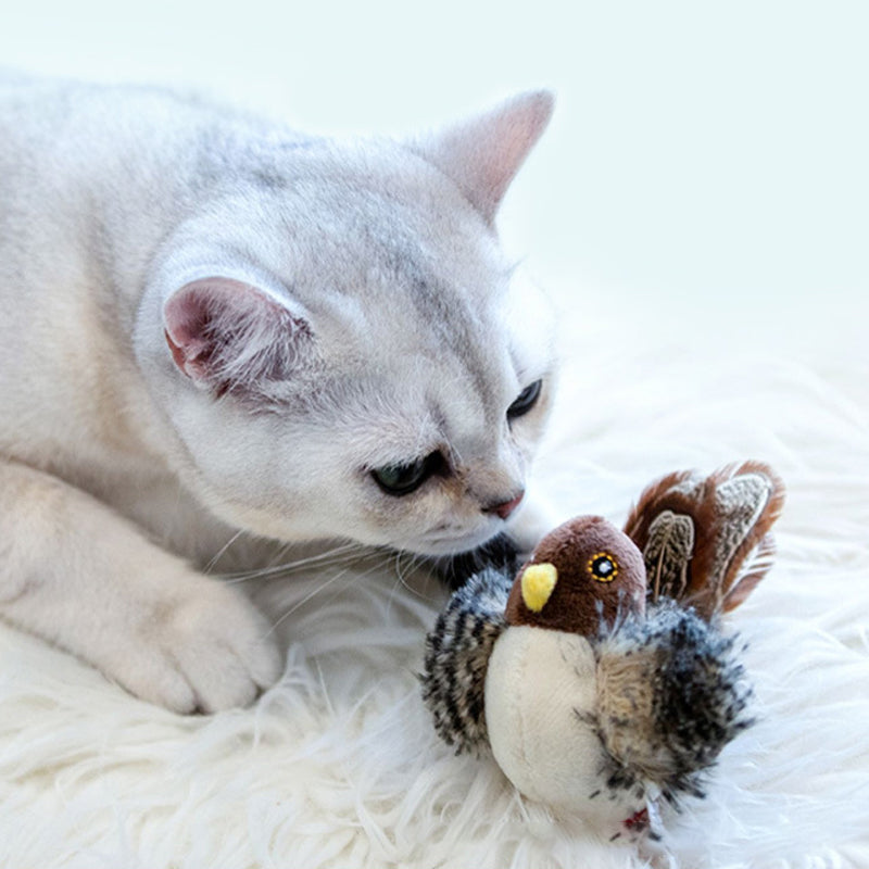 HuntFlap – Interactive Bird Cat Toy