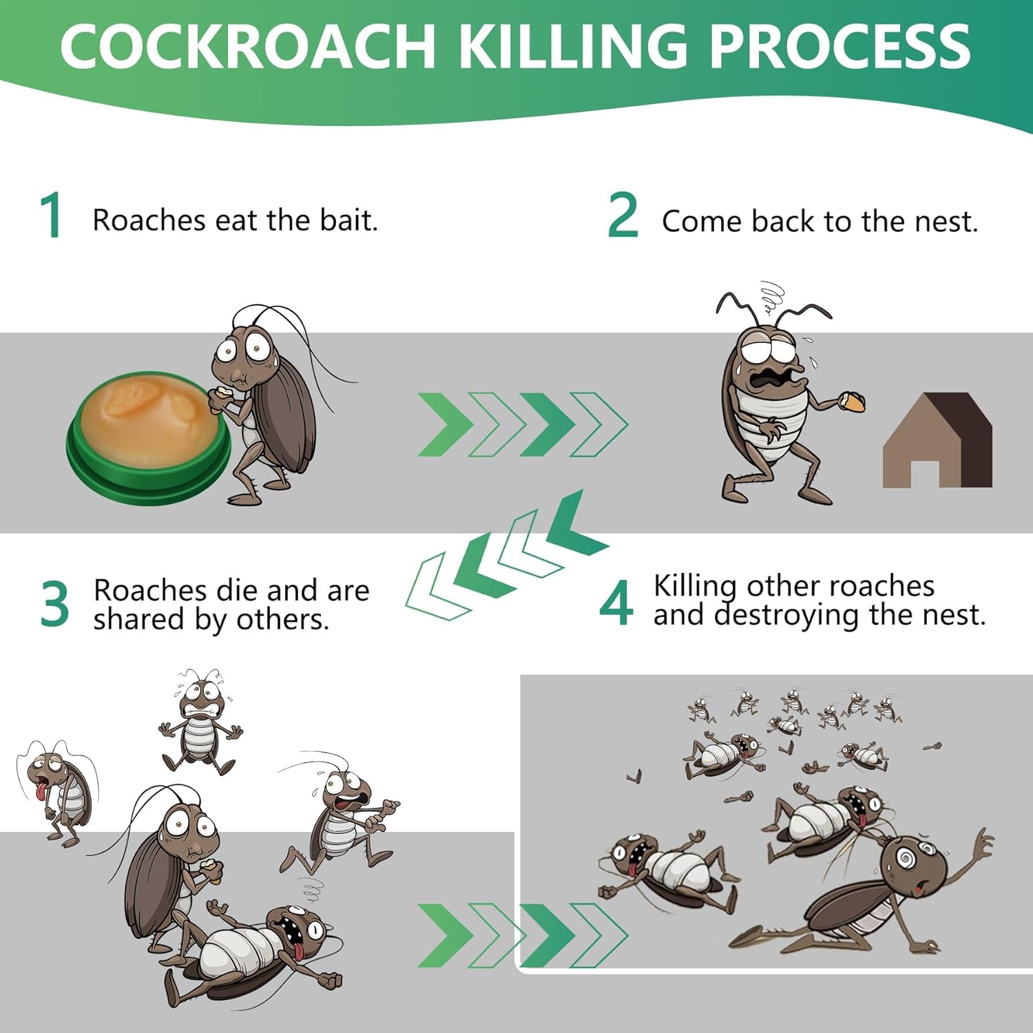 InsectBarrier – Roach Control Solution