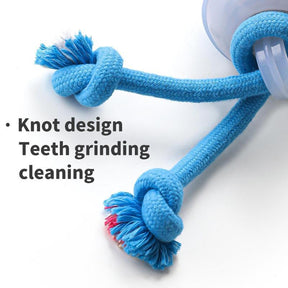 AuraBuddy – The Chase Buddy Smart Bouncing Dog Toy