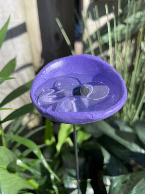 BeeHaven – Pollinator-Friendly Insect & Butterfly Drinking Cups