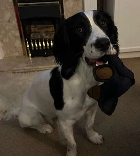 ToughPaws – Durable Unbreaka-Bear Dog Toy