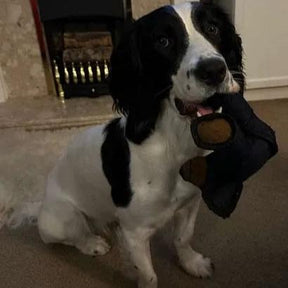 BearTough -  Durable Chew Toy