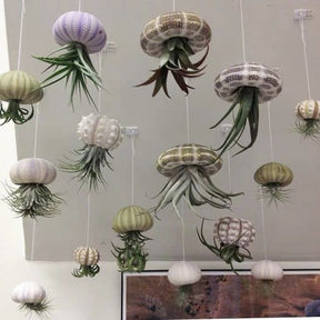 AquaBloom – Hanging Air Plant Jellyfish