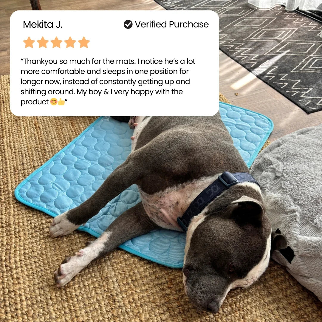 PolarComfort – Breathable Pet Cooling Bed