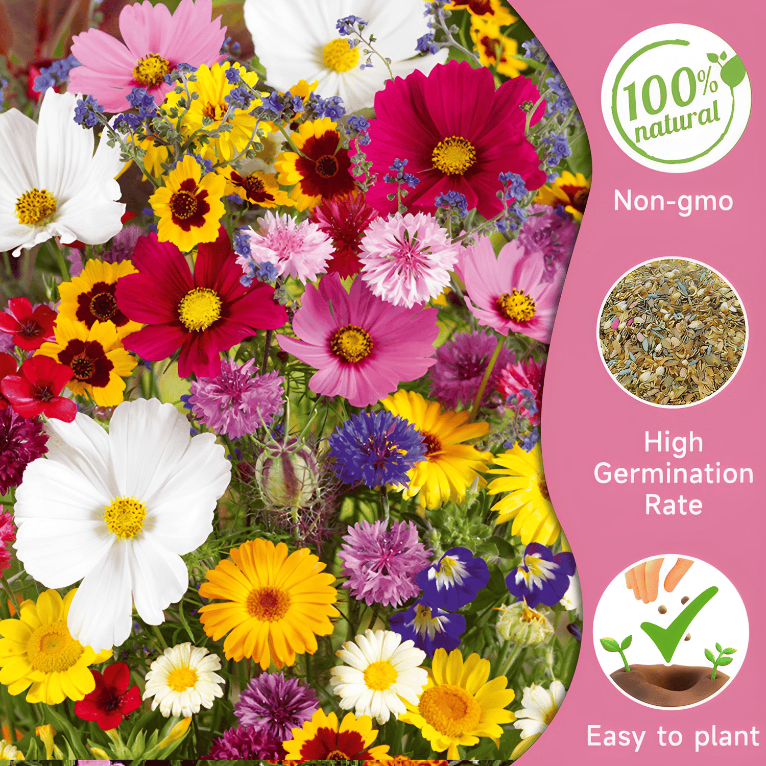 FloraBurst – Mixed Perennial Flower Seeds Collection