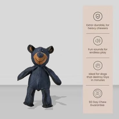 ToughPaws – Durable Unbreaka-Bear Dog Toy