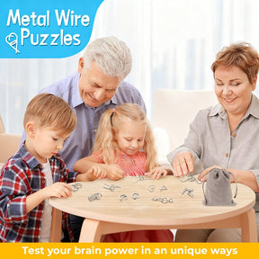 PuzzleCore – IQ Challenge Metal Puzzle Set