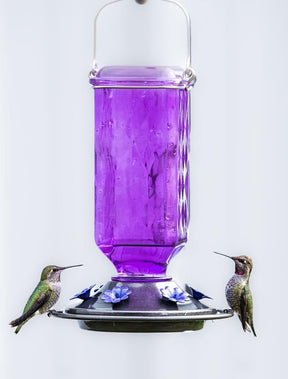 BloomNest – Hummingbird Nectar Feeder