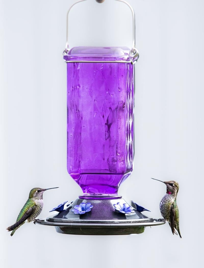 BloomNest – Hummingbird Nectar Feeder