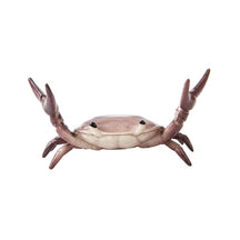 CrabFlex – Weightlifting Crab Pen Holder