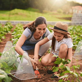 EcoBloom – Reusable Greenhouse Plant Covers