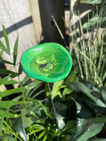 BeeHaven – Pollinator-Friendly Insect & Butterfly Drinking Cups