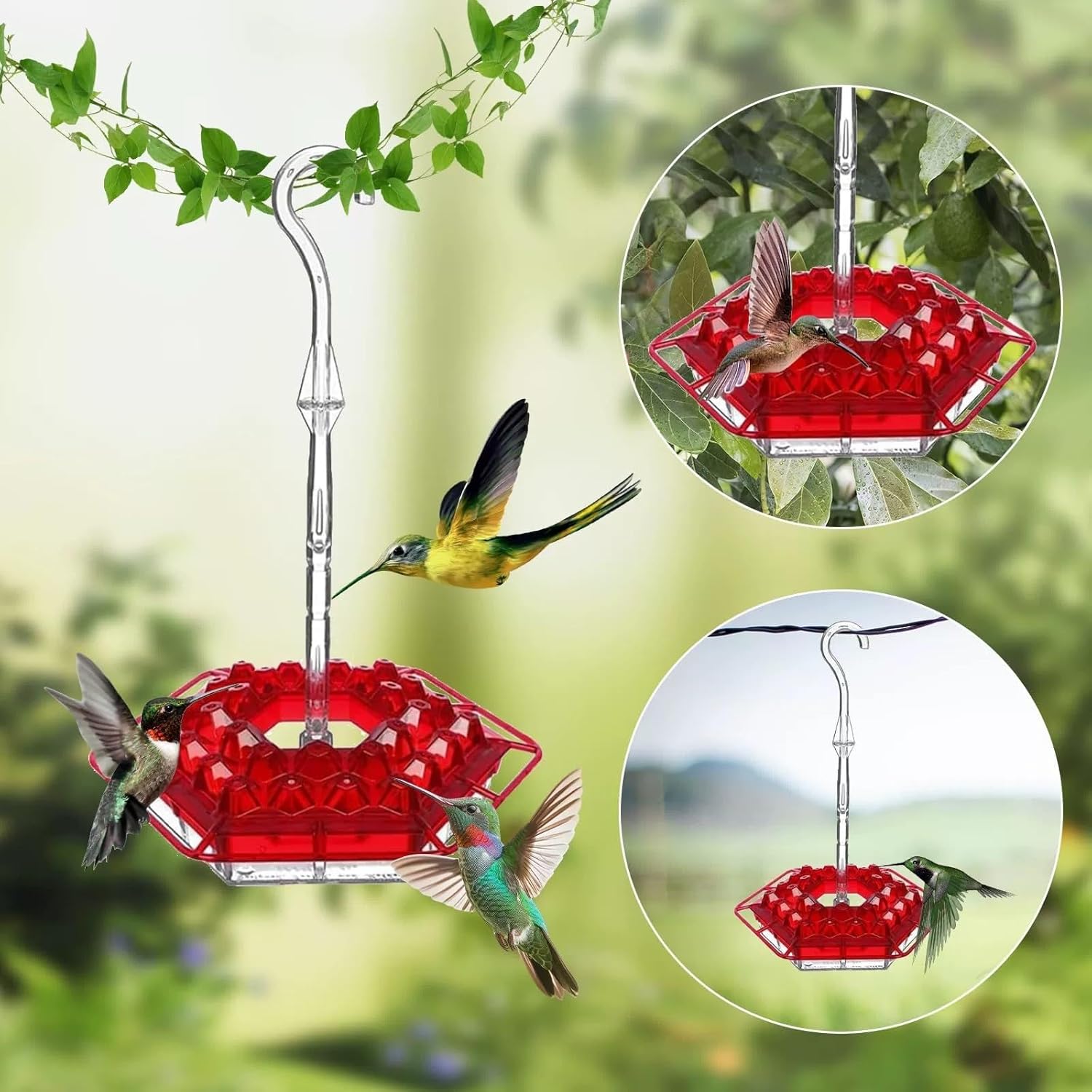 BirdBliss - Hanging Hummingbird Feeder