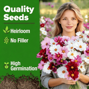 PurePetal – Zinnia Seeds for Vibrant Heirloom Flowers