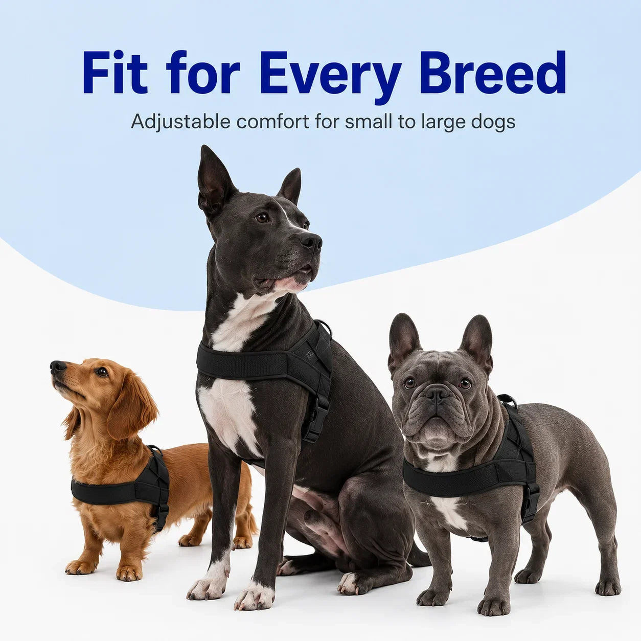 PawGuard – No-Pull Dog Harness