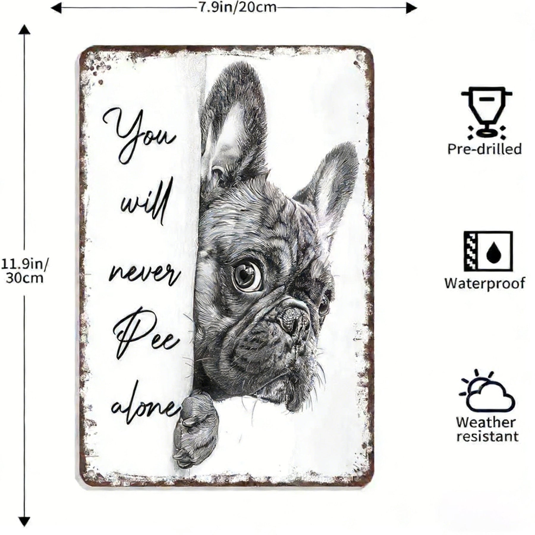 NoirWhiskers - Vintage Cat Wall Art