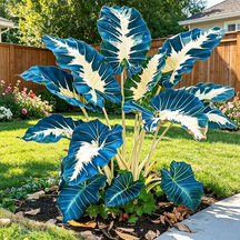 ColorBloom – Giant Multi-Color Caladiums Bulbs