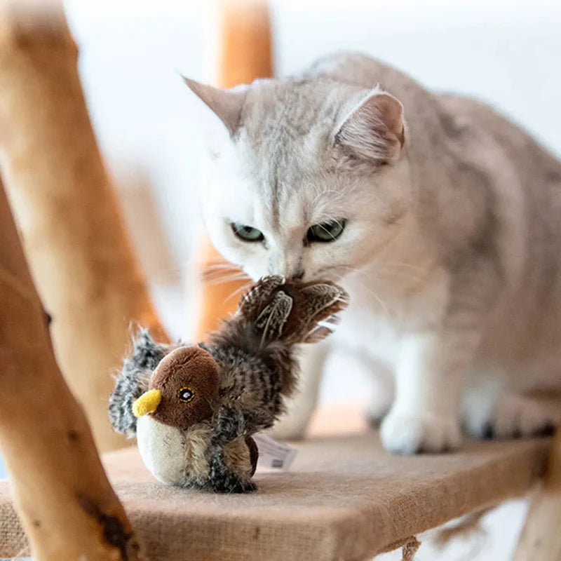 HuntFlap – Interactive Bird Cat Toy