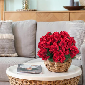 RoseAura – Eternal Geranium Floral Set