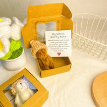 HugBear – Mini Plush Teddy Bear Surprise Box
