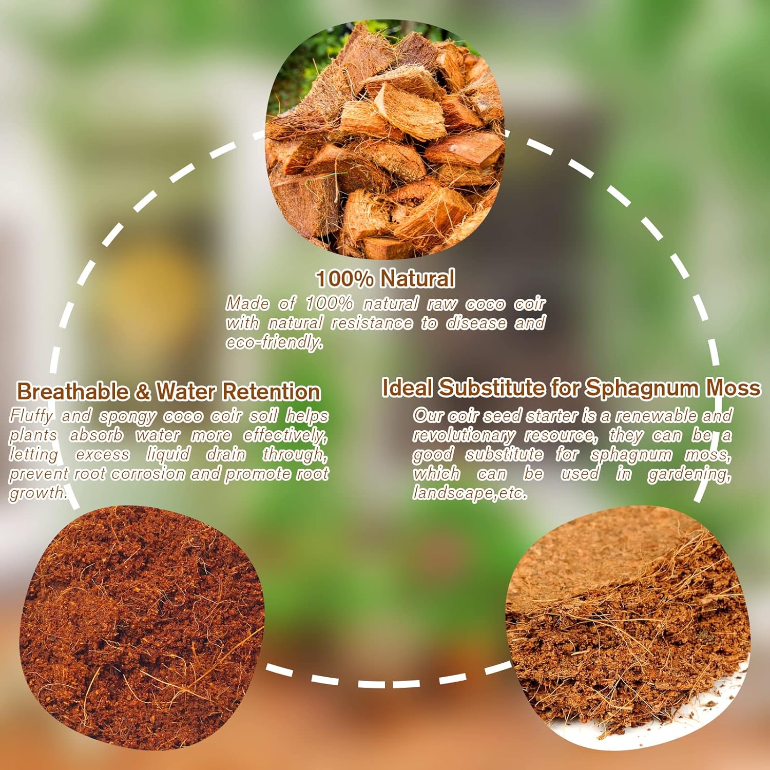 CocoBloom – Natural Coconut Coir Bricks for Plants