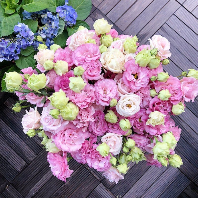 BloomRidge – Hardy Perennial Lisianthus Seeds