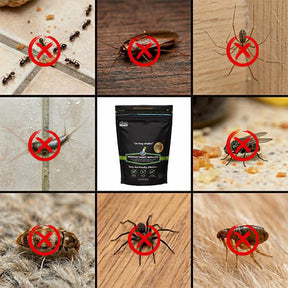 GreenShield – Organic Lawn Pest Repellent