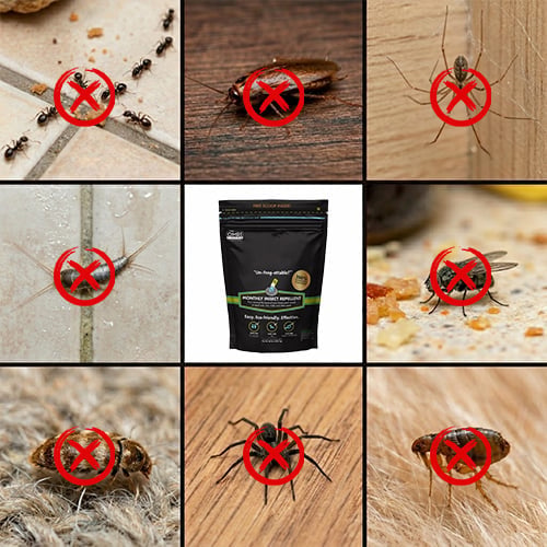 GreenShield – Organic Lawn Pest Repellent