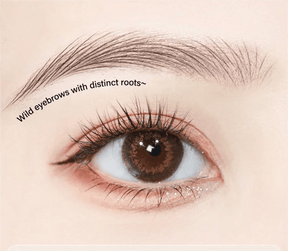 TitanShape – Long-Lasting Smudge-Proof Brow Pencil