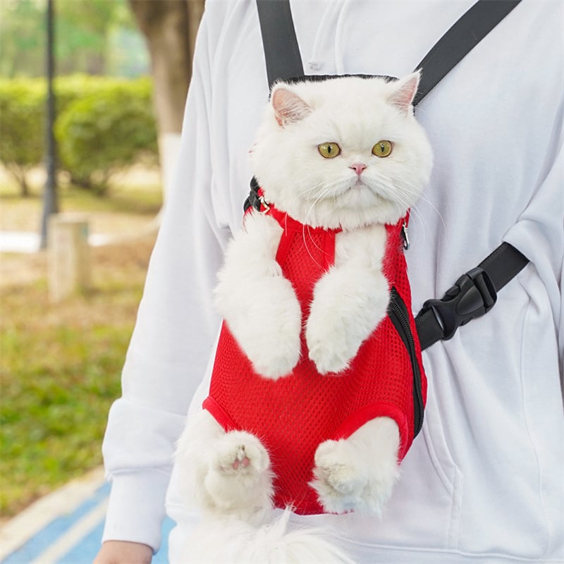 PawVoyage – Pet Travel Leg-Out Backpack