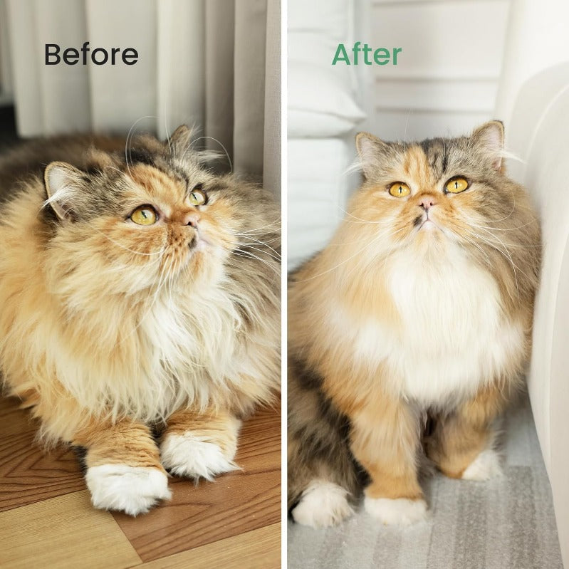FurBalance – Safe Blade Pet Grooming Brush