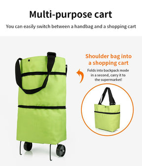 EcoFold – Shopping Bag Folding Green Bag