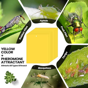 InsectLock – Ultra Sticky Pest Traps