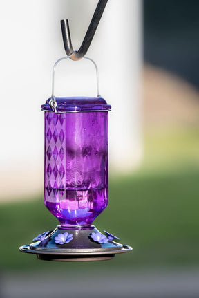 BloomNest – Hummingbird Nectar Feeder