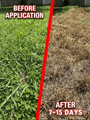 RootRevive – Garden Root Protection Treatment