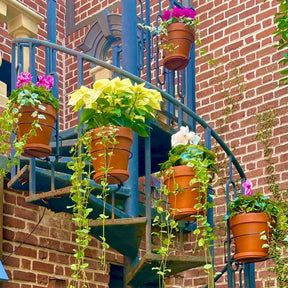 GreenRail – Space-Saving Hanging Planter