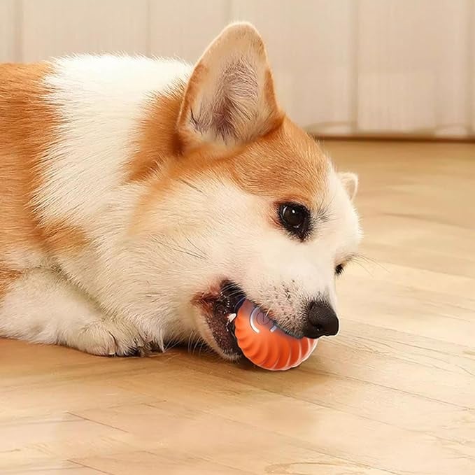 BarkBounce - Interactive Dog Teasing Ball