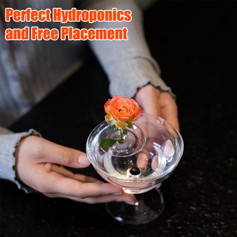 FloraFloat – Creative Floating Floral Arrangement Holder