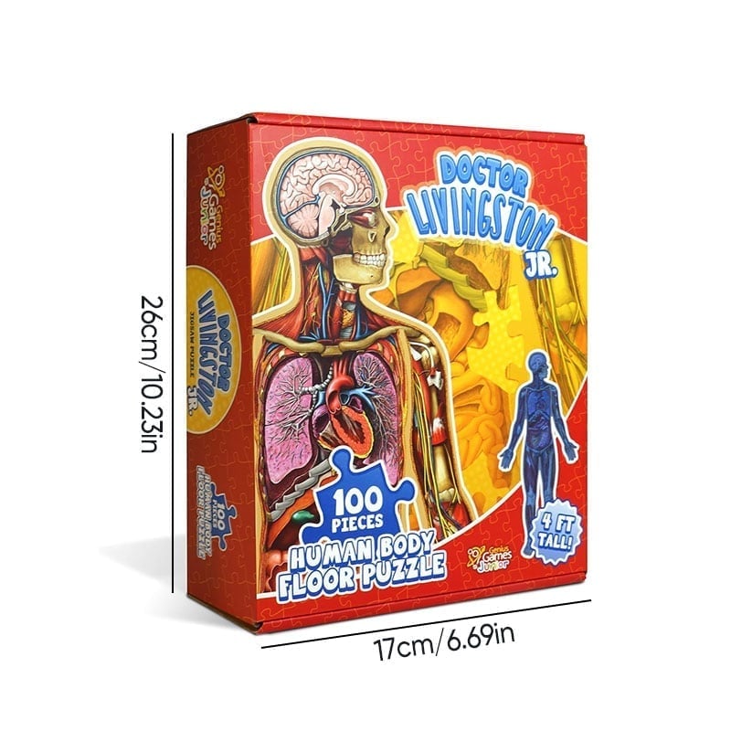 Organix – Interactive Anatomy Learning Puzzle