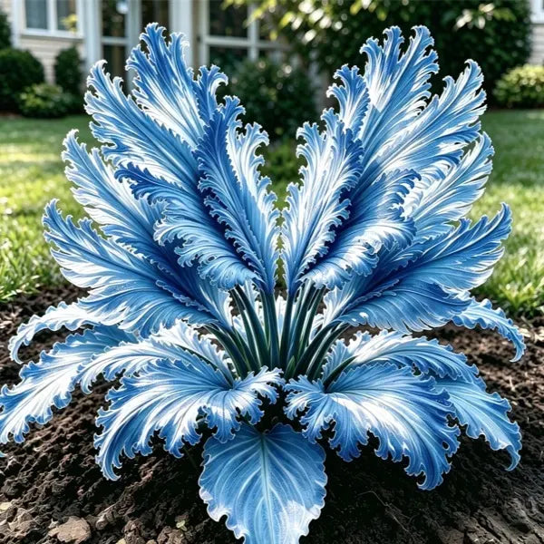 GardenGrace – Swan Feather Hosta Bulbs Collection