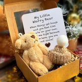 HugBear – Mini Plush Teddy Bear Surprise Box