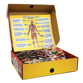 Organix – Interactive Anatomy Learning Puzzle