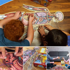 Organix – Interactive Anatomy Learning Puzzle