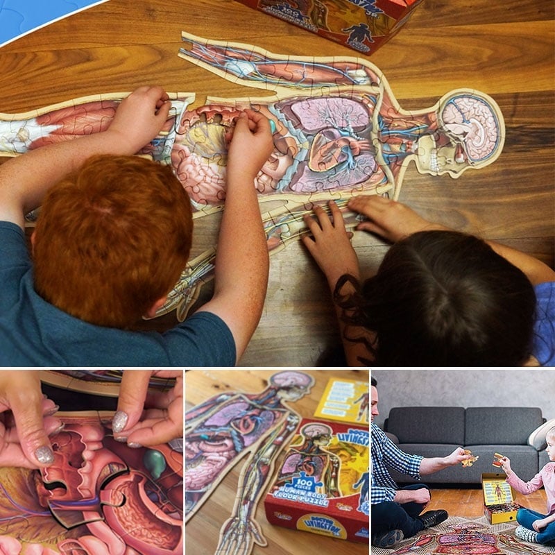 Organix – Interactive Anatomy Learning Puzzle