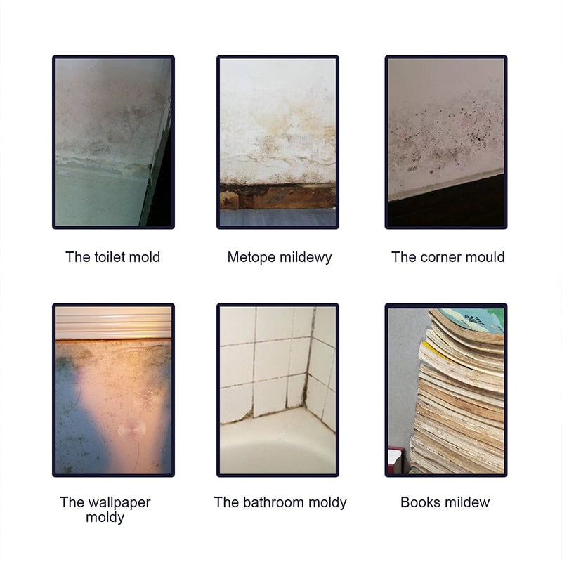 AuraShield – Heavy-Duty Mildew Remover
