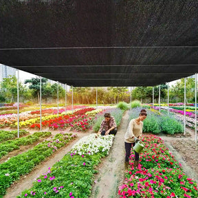 CoolHaven – UV Protection Shade Cloth