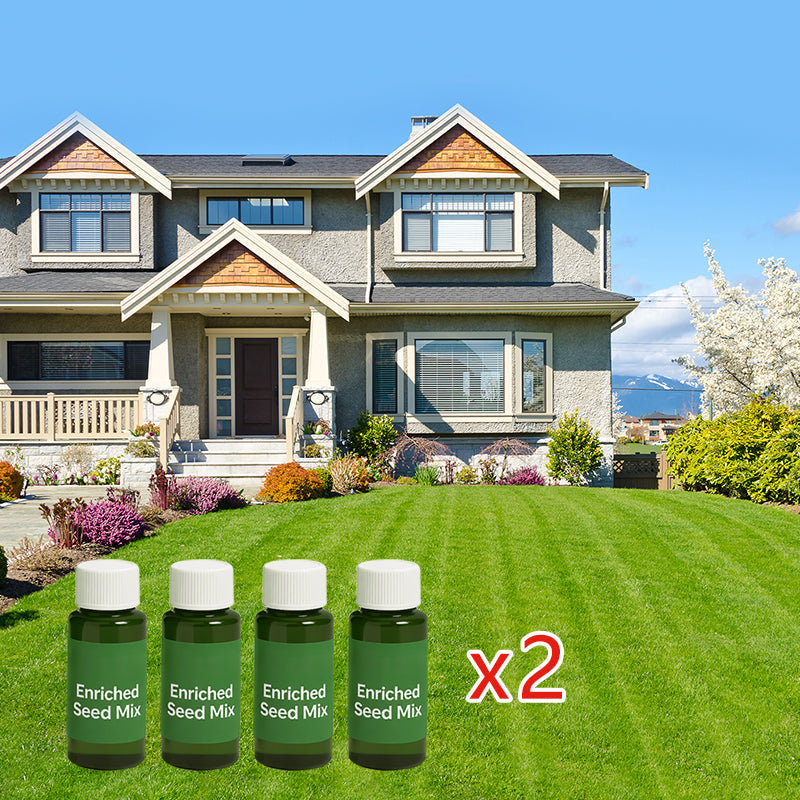 LumeLawn – Professional Spray-On Grass Seed Kit