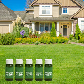 LumeLawn – Professional Spray-On Grass Seed Kit