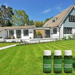 LumeLawn – Professional Spray-On Grass Seed Kit